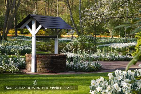 春季花園用畫(huà)井