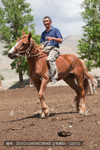 阿勒泰騎馬的人