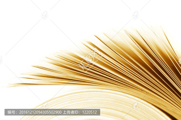 雜志內(nèi)頁