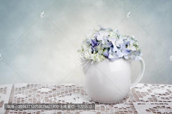 霍滕西亞花