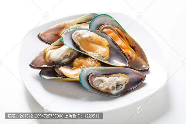 板生貽貝