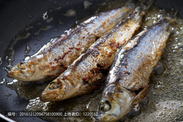 在煎沙丁油魚