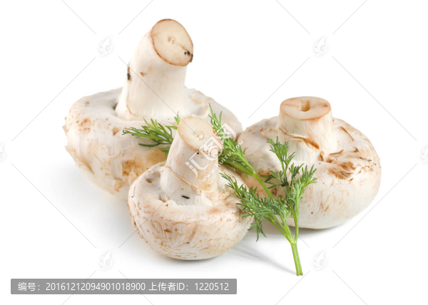 樹蘑菇和蒔蘿