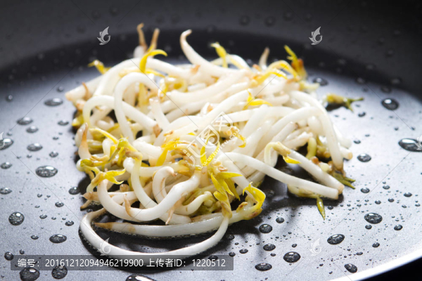 鍋中炒豆芽