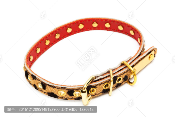 毛領(lǐng)