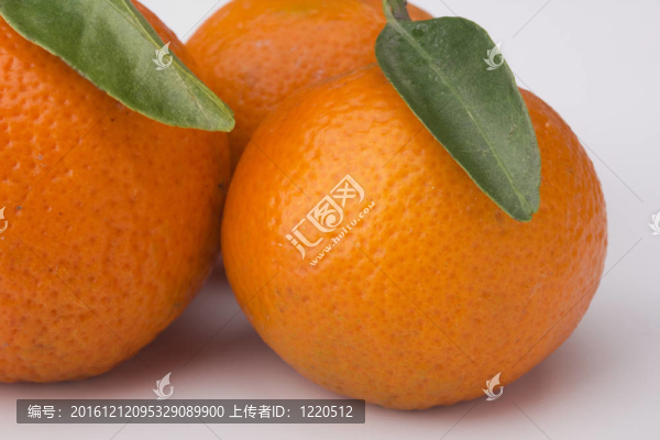 橙色的橘子
