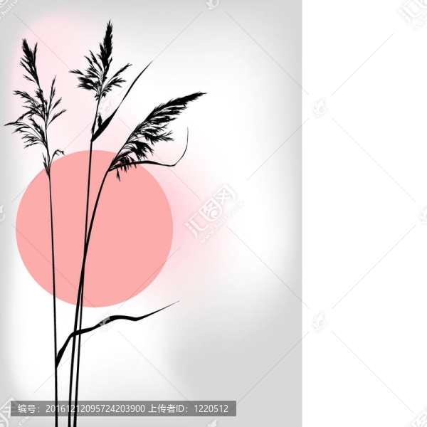 里德在日落