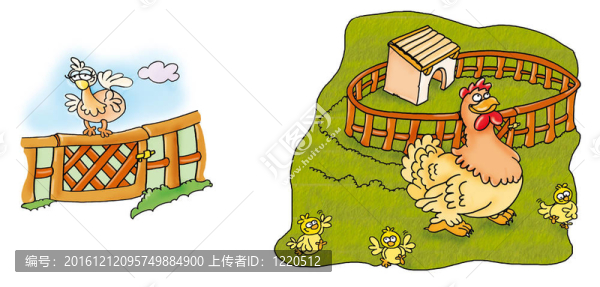 雞舍里的公雞