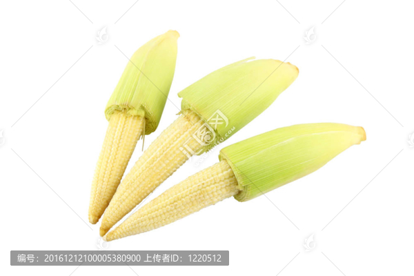 三小玉米在白色背景。