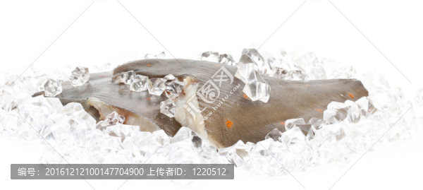在冰鮮牙鲆特寫