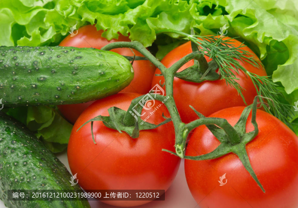 番茄；黃瓜生菜沙拉