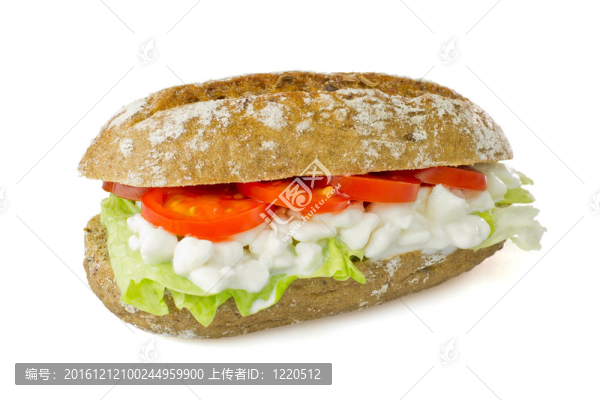 白色背景的素食三明治