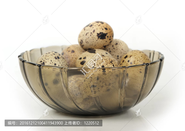蛋菜