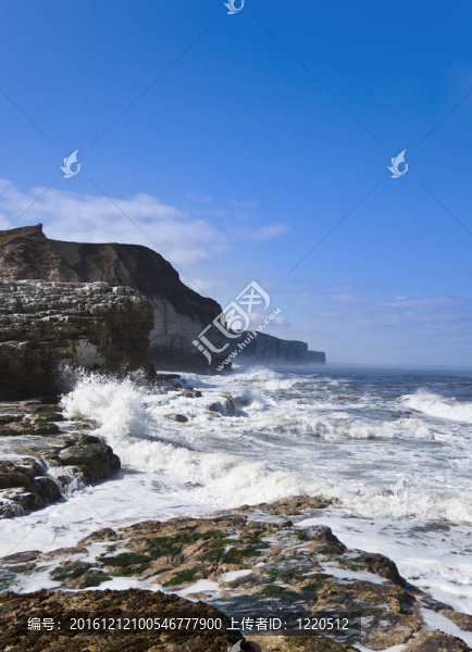 海岸