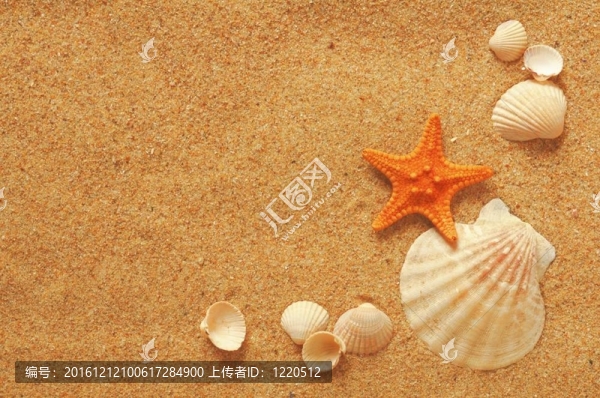 度假概念