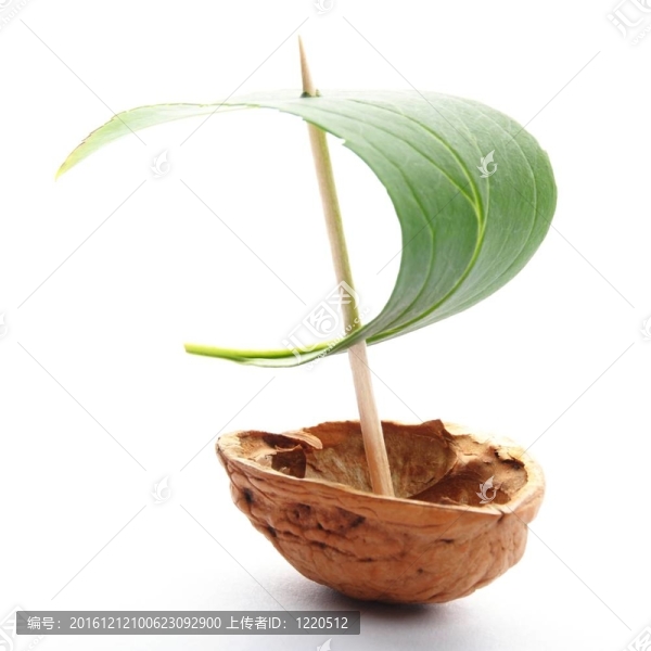 帆船