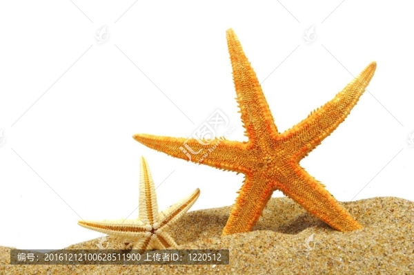 海星砂銀行
