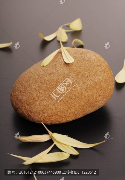 石頭上的黃色花瓣