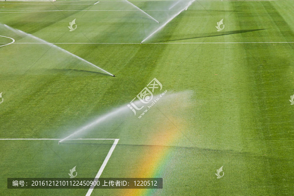 灌溉草坪