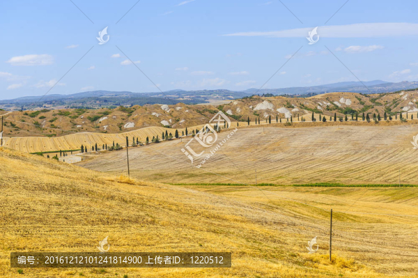 Val,d,Orcia（托斯卡納）景觀