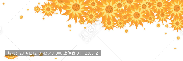 黃色的雛菊花