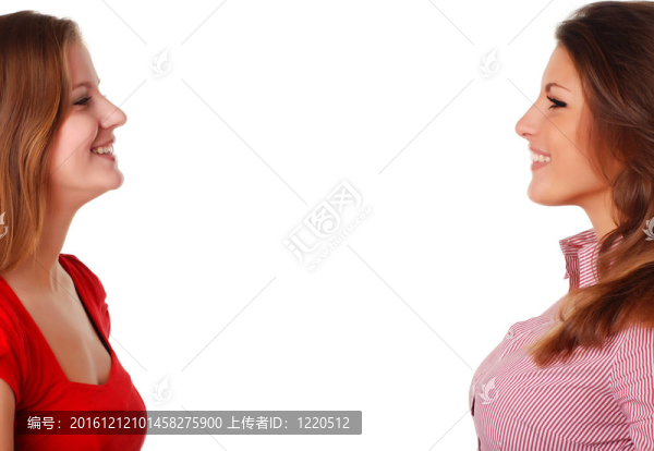 美麗的朋友