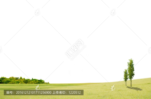 具有樹木和白色背景空間的田野景觀