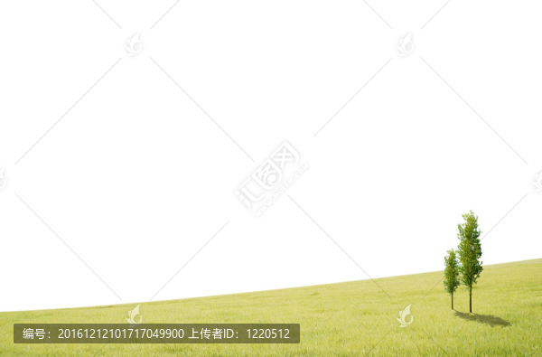 具有樹木和白色背景空間的田野景觀