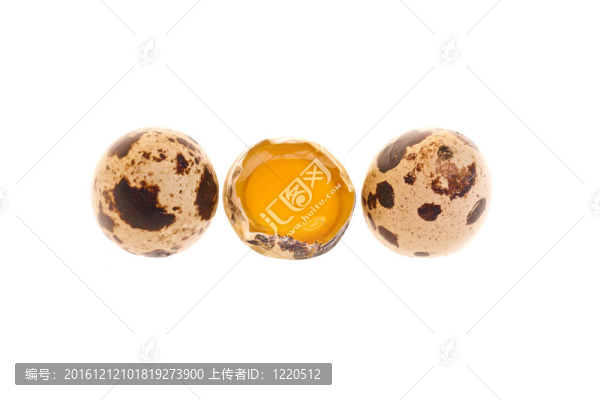 鵪鶉蛋全蛋黃