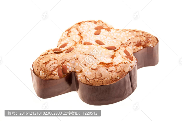 復活節(jié)的鴿子隔離