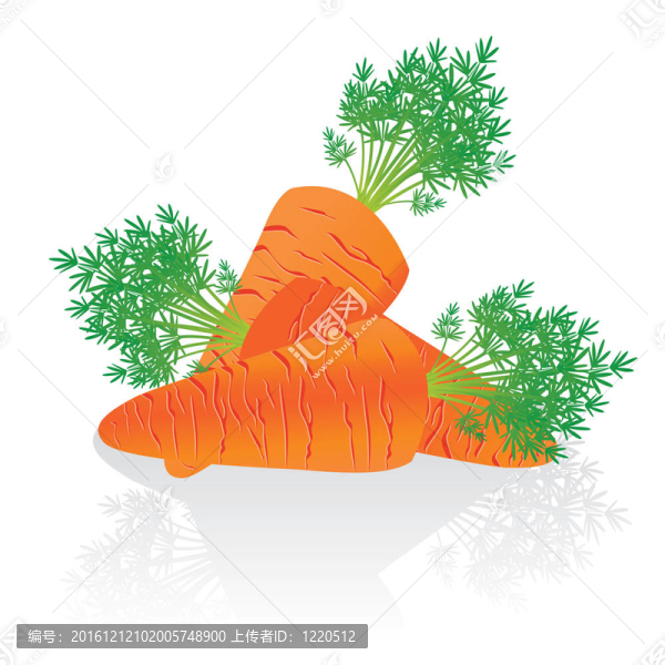 類胡蘿卜