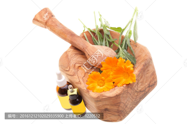 順勢療法-金盞花