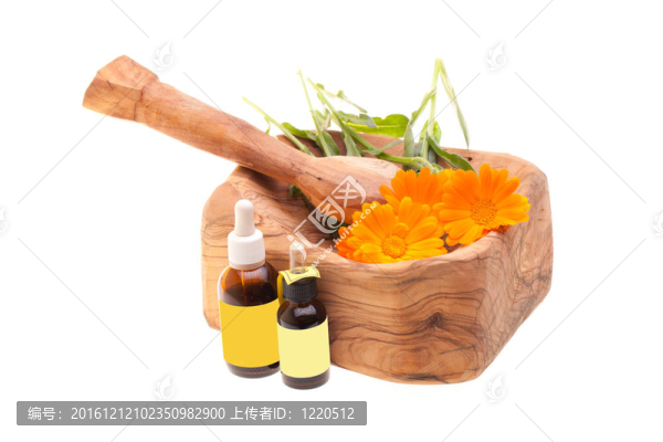 金盞花與砂漿
