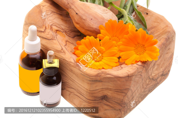 從金盞花精油（金盞菊）