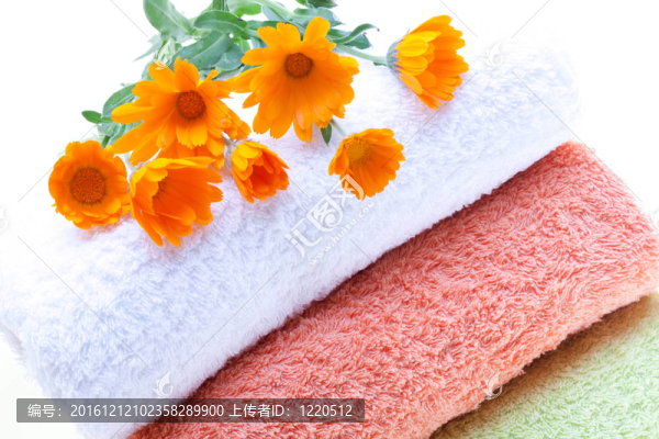 毛巾和Calendula,Flowers