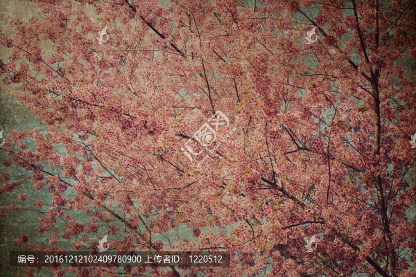 舊票據(jù)背景