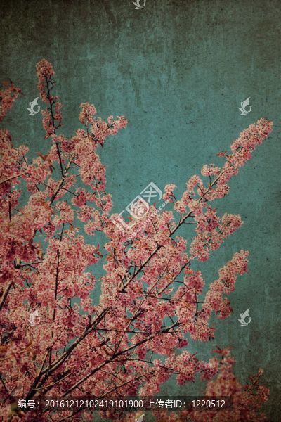 舊票據(jù)背景