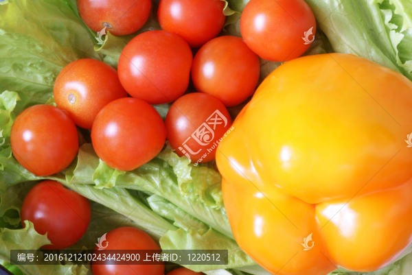 生菜蔬菜