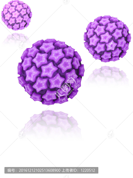 人乳頭瘤病毒（HPV）