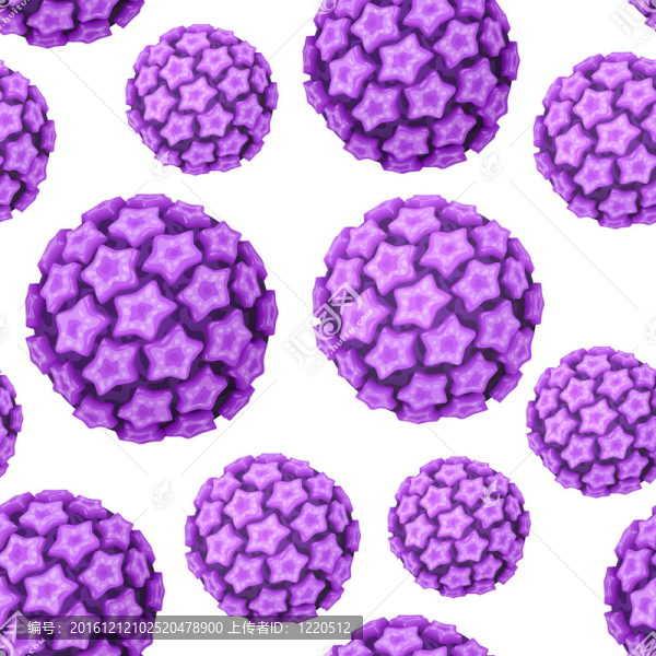 人乳頭瘤病毒（HPV）