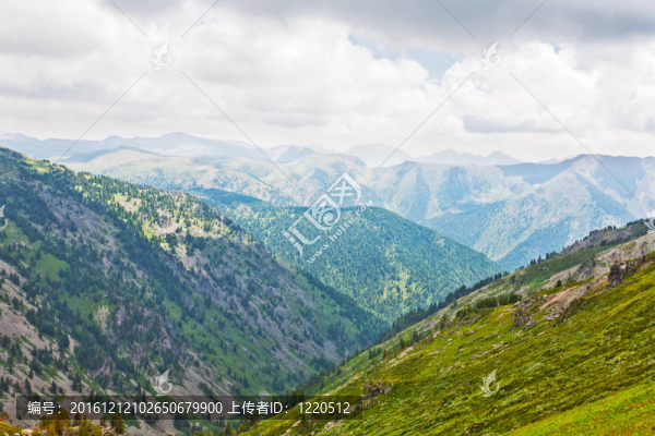 單山景觀。阿爾泰；西伯利亞