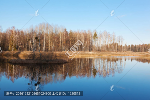 春天的風(fēng)景與森林；反映在藍(lán)色的水Lake
