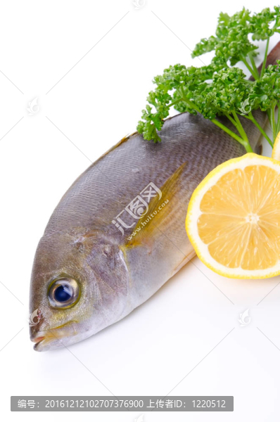 雞聲