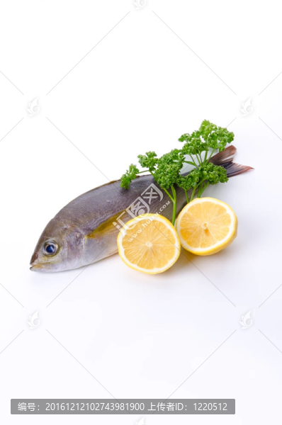雞聲