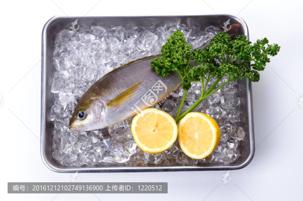 雞聲
