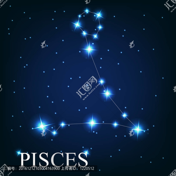 夜空中美麗的亮星雙魚座星座的