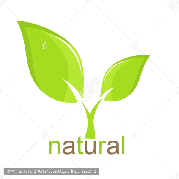 綠色植物