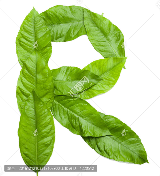 白色字母