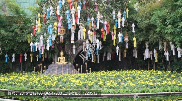 美瀚歌-泰倫迪亞