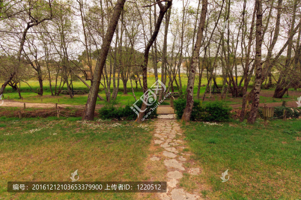 木園